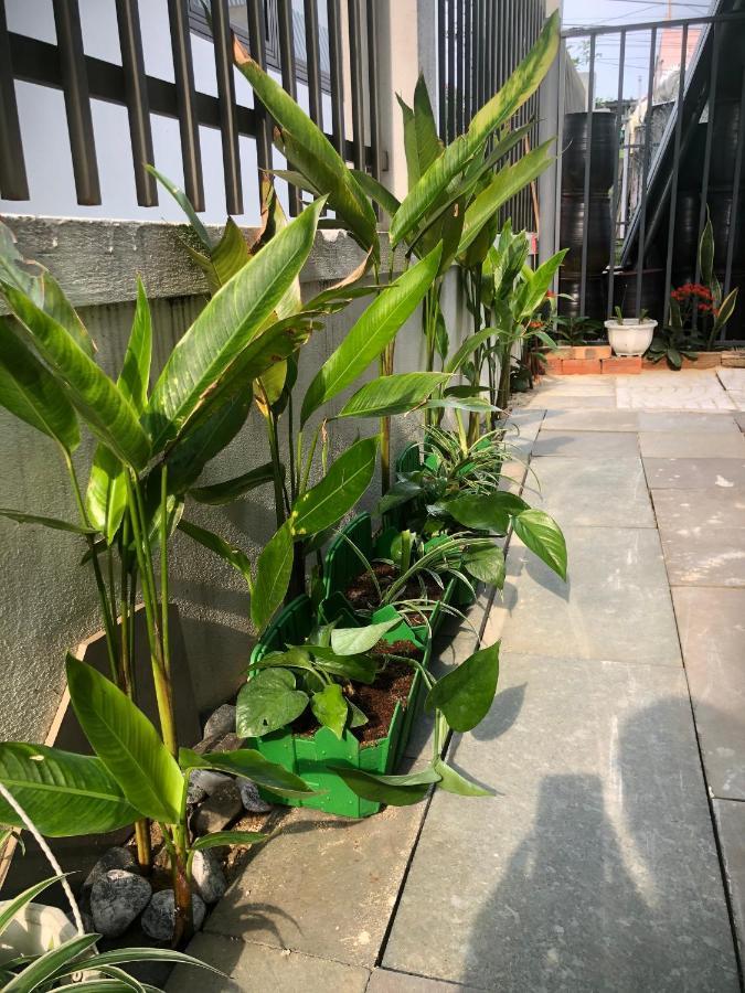 Homestay Phuong House Hội An Ngoại thất bức ảnh
