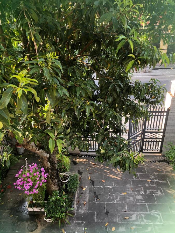 Homestay Phuong House Hội An Ngoại thất bức ảnh