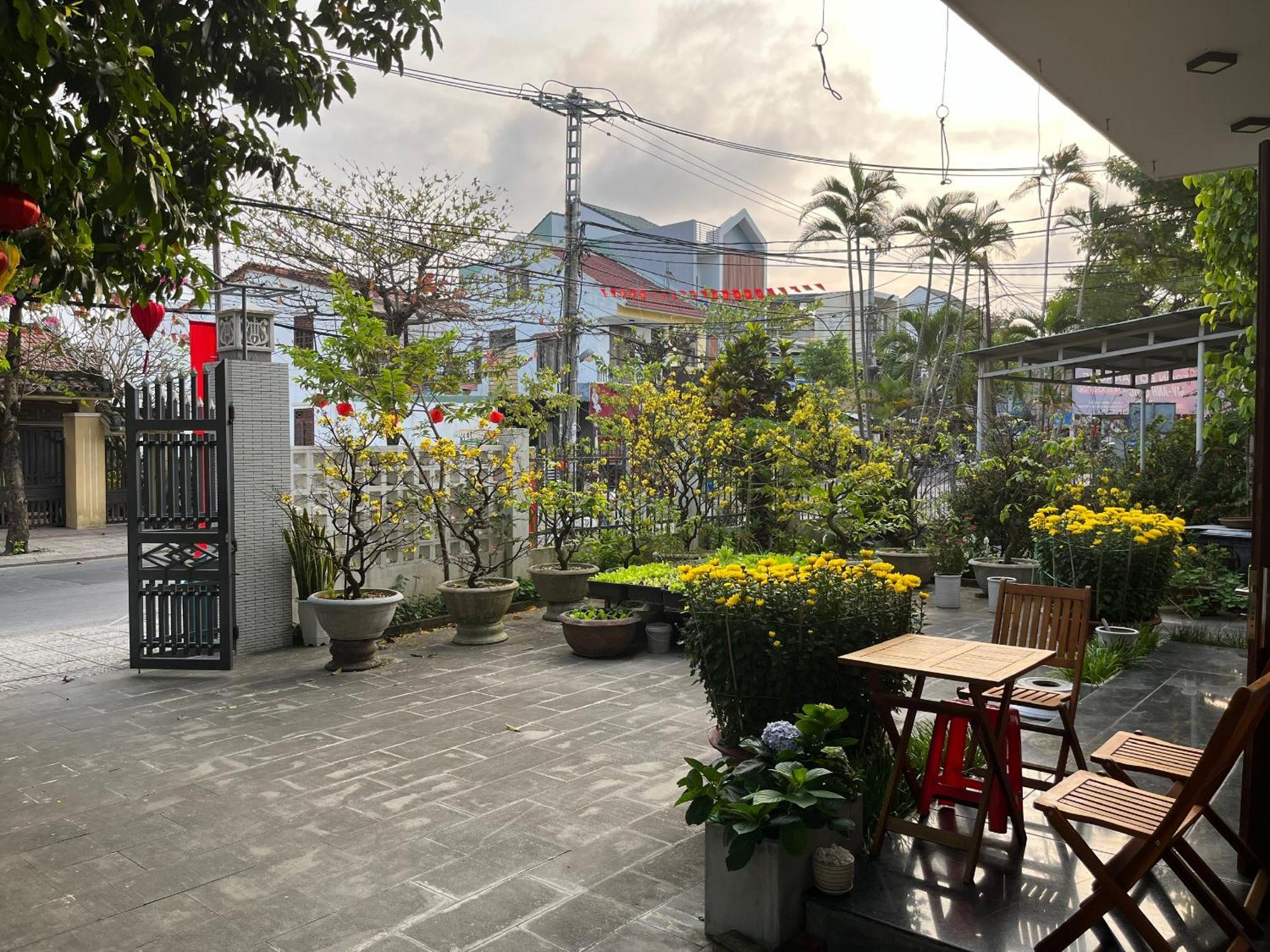 Homestay Phuong House Hội An Ngoại thất bức ảnh